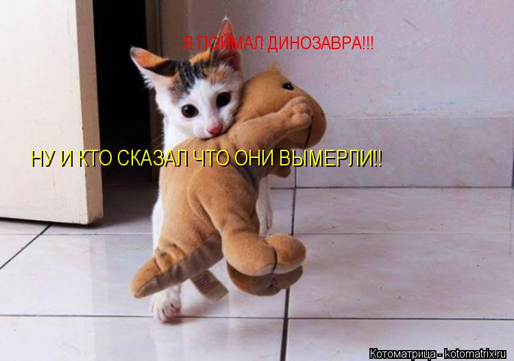 Я ПОЙМАЛ ДИНОЗАВРА!!! НУ И КТО СКАЗАЛ ЧТО ОНИ ВЫМЕРЛИ!!... Котоматрица: Я ПОЙМАЛ ДИНОЗАВРА!!! НУ И КТО СКАЗАЛ ЧТО ОНИ ВЫМЕРЛИ!!