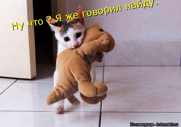 Ну что ? Я же говорил найду.... Котоматрица: Ну что ? Я же говорил найду.