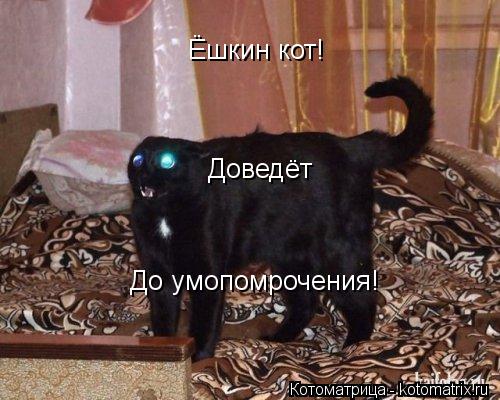 Ёшкин кот! Доведёт До умопомрочения!... Котоматрица: Ёшкин кот! Доведёт До умопомрочения!