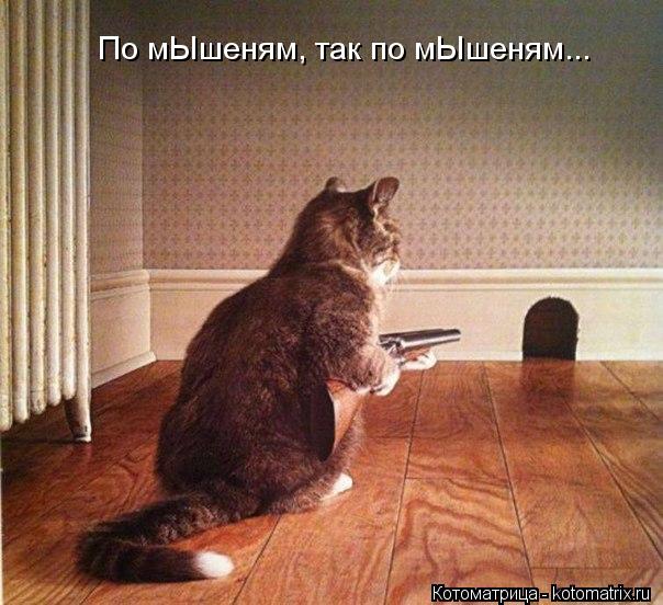 По мЫшеням, так по мЫшеням...... Котоматрица: По мЫшеням, так по мЫшеням...