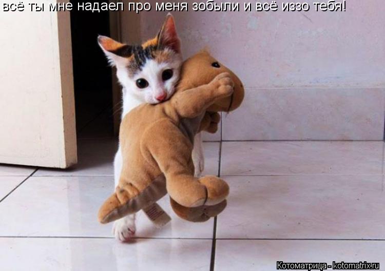 всё ты мне надаел про меня зобыли и всё иззо тебя!... Котоматрица: всё ты мне надаел про меня зобыли и всё иззо тебя!