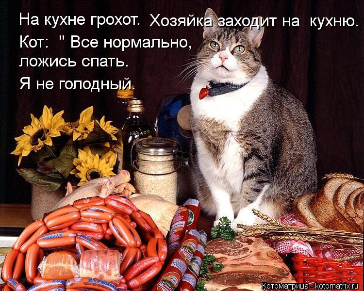 На кухне грохот. Хозяйка заходит на кухню. Кот: " Все нормально, ложись спать. Я не голодный.... Котоматрица: На кухне грохот. Хозяйка заходит на кухню. Кот: " Все нормально, ложись спать. Я не голодный.
