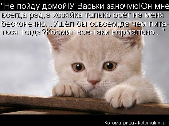"Не пойду домой!У Васьки заночую!Он мне всегда рад,а хозяйка только орёт на меня бесконечно...Ушёл бы... Котоматрица: "Не пойду домой!У Васьки заночую!Он мне всегда рад,а хозяйка только орёт на меня бесконечно...Ушёл бы совсем,да чем пита- ться тогда?Кормит вс
