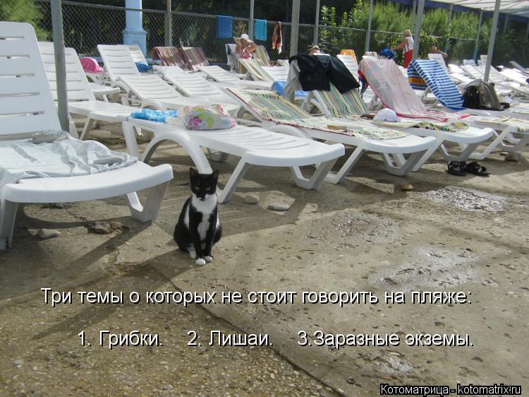 Три темы о которых не стоит говорить на пляже: 1. Грибки. 2. Лишаи. 3.Заразные экземы.... Котоматрица: Три темы о которых не стоит говорить на пляже: 1. Грибки. 2. Лишаи. 3.Заразные экземы.