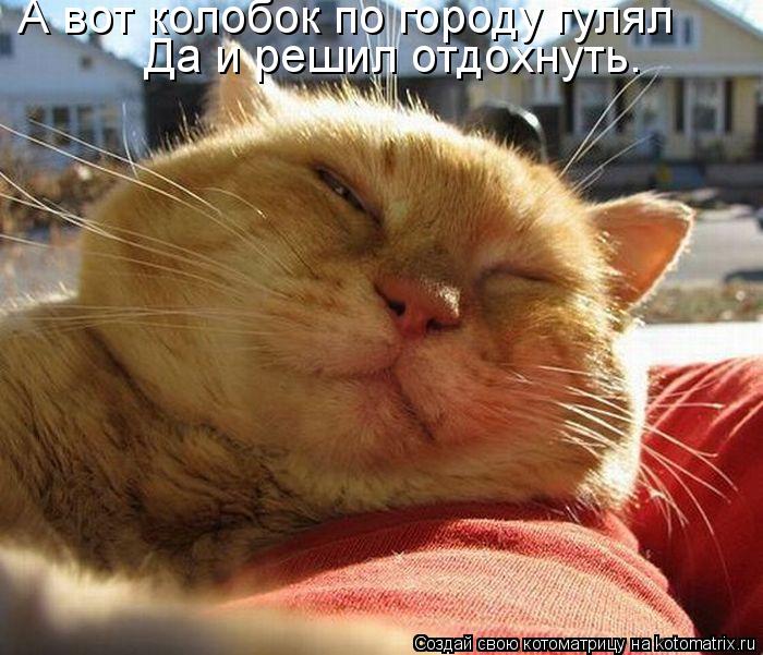 А вот колобок по городу гулял Да и решил отдохнуть.... Котоматрица: А вот колобок по городу гулял Да и решил отдохнуть.
