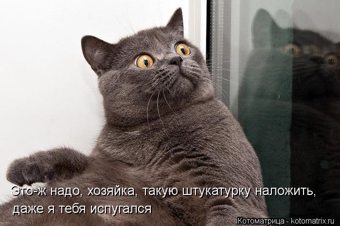 Это-ж надо, хозяйка, такую штукатурку наложить, даже я тебя испугался... Котоматрица: Это-ж надо, хозяйка, такую штукатурку наложить, даже я тебя испугался
