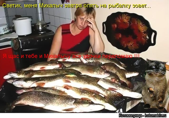 Светик, меня Михалыч завтра опять на рыбалку зовет... Я щас и тебе и Михалычу асе удочки переломаю !!... Котоматрица: Светик, меня Михалыч завтра опять на рыбалку зовет... Я щас и тебе и Михалычу асе удочки переломаю !!!