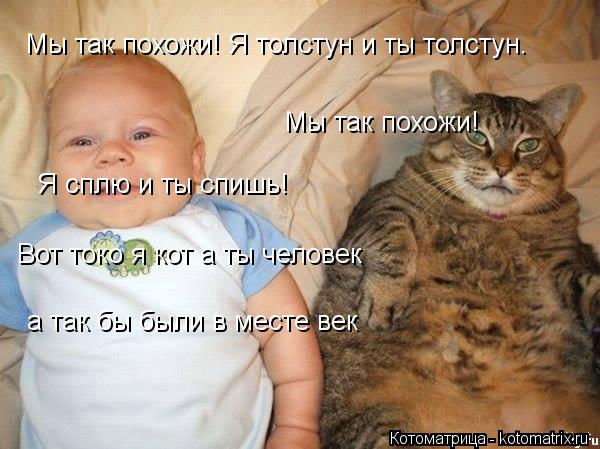 Мы так похожи! Мы так похожи! Я толстун и ты толстун. Я сплю и ты спишь! Вот токо я кот а ты человек ... Котоматрица: Мы так похожи! Мы так похожи! Я толстун и ты толстун. Я сплю и ты спишь! Вот токо я кот а ты человек а так бы были в месте век