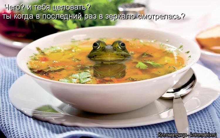 Чего? и тебя целовать? ты когда в последний раз в зеркало смотрелась?... Котоматрица: Чего? и тебя целовать? ты когда в последний раз в зеркало смотрелась?