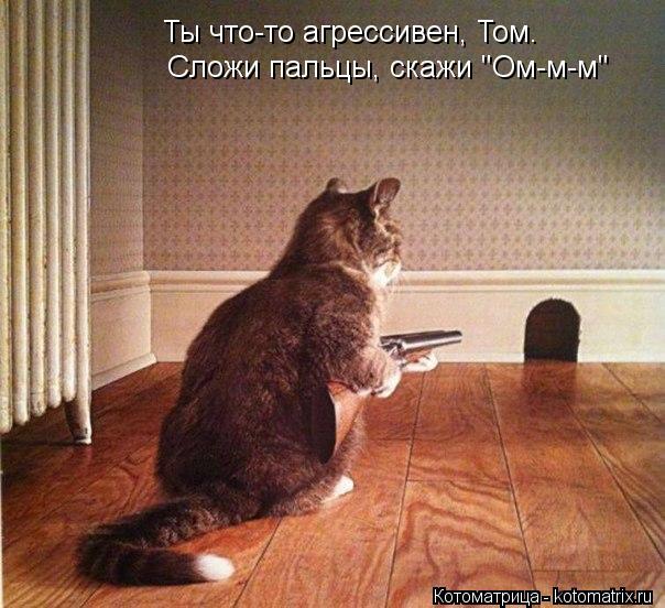 Ты что-то агрессивен, Том. Сложи пальцы, скажи "Ом-м-м"... Котоматрица: Ты что-то агрессивен, Том. Сложи пальцы, скажи "Ом-м-м"