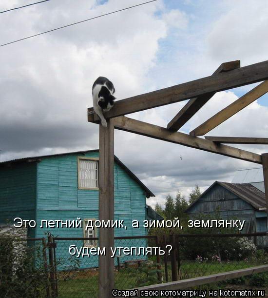 Это летний домик, а зимой, землянку будем утеплять?... Котоматрица: Это летний домик, а зимой, землянку будем утеплять?