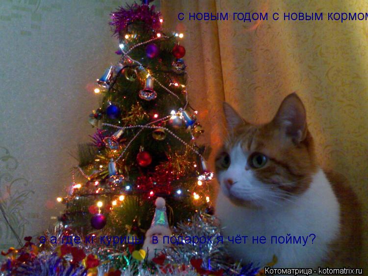 с новым годом с новым кормом! э а где кг курицы в подарок я чёт не пойму?... Котоматрица: с новым годом с новым кормом! э а где кг курицы в подарок я чёт не пойму?