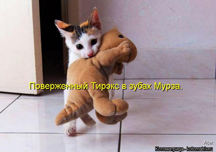Поверженный Тирэкс в зубах Мурза. Асм.... Котоматрица: Поверженный Тирэкс в зубах Мурза. Асм.