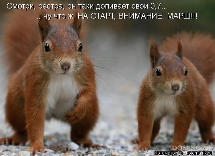 Смотри, сестра, он таки допивает свои 0,7... ... ну что ж, НА СТАРТ, ВНИМАНИЕ, МАРШ!!!... Котоматрица: Смотри, сестра, он таки допивает свои 0,7... ... ну что ж, НА СТАРТ, ВНИМАНИЕ, МАРШ!!!