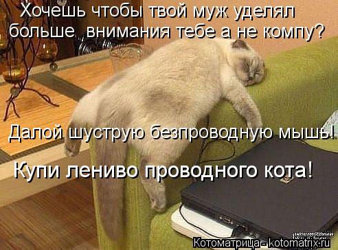 Хочешь чтобы твой муж уделял больше внимания тебе а не компу? Далой шуструю безпроводную мышь! Купи ... Котоматрица: Хочешь чтобы твой муж уделял больше внимания тебе а не компу? Далой шуструю безпроводную мышь! Купи лениво проводного кота!