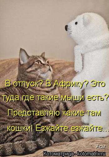 В отпуск? В Африку? Это туда,где такие мыши есть? Представляю какие там кошки! Езжайте,езжайте... Асм... Котоматрица: В отпуск? В Африку? Это туда,где такие мыши есть? Представляю какие там кошки! Езжайте,езжайте... Асм.