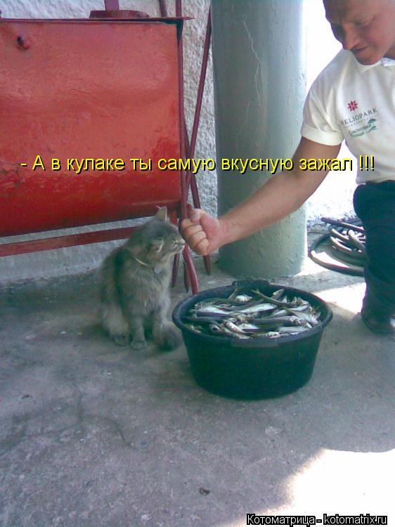 - А в кулаке ты самую вкусную зажал !!!... Котоматрица: - А в кулаке ты самую вкусную зажал !!!