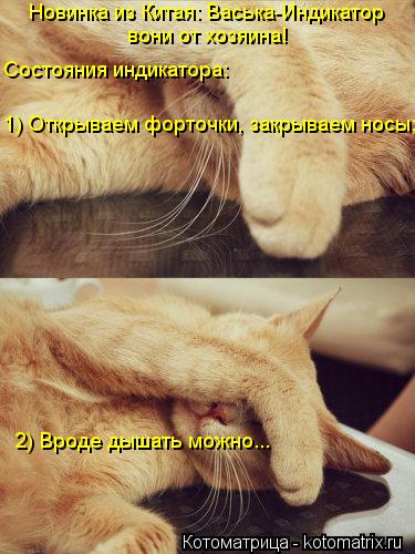 Новинка из Китая: Васька-Индикатор вони от хозяина! Состояния индикатора: 1) Открываем форточки, зак... Котоматрица: Новинка из Китая: Васька-Индикатор вони от хозяина! Состояния индикатора: 1) Открываем форточки, закрываем носы; 2) Вроде дышать можно...