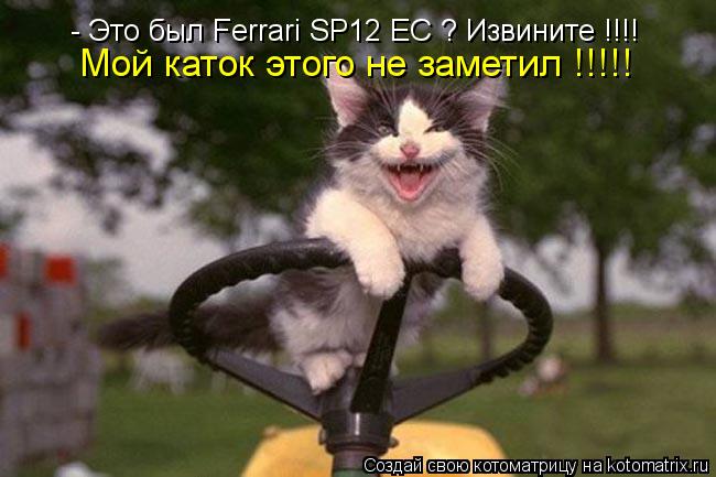 - Это был Ferrari SP12 EC ? Извините !!!! Мой каток этого не заметил !!!!!... Котоматрица: - Это был Ferrari SP12 EC ? Извините !!!! Мой каток этого не заметил !!!!!