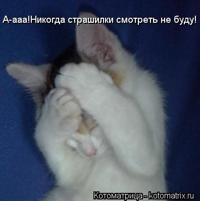 А-ааа!Никогда страшилки смотреть не буду!... Котоматрица: А-ааа!Никогда страшилки смотреть не буду!