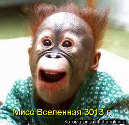 http://kotomatrix.ru/images/lolz/2013/07/11/kotomatritsa_yy.jpg