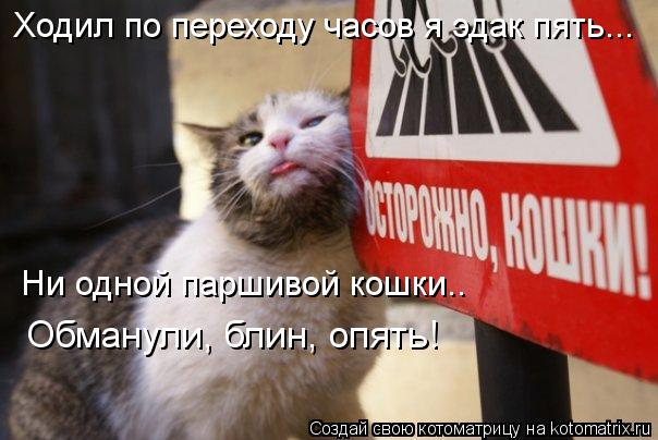 Ходил по переходу часов я эдак пять... Ни одной паршивой кошки.. Обманули, блин, опять!... Котоматрица: Ходил по переходу часов я эдак пять... Ни одной паршивой кошки.. Обманули, блин, опять!