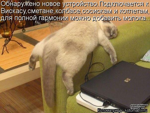 Обнаружено новое устройство.Подключается к Вискасу,сметане,колбасе,сосискам и котлетам, для полной га... Котоматрица: Обнаружено новое устройство.Подключается к Вискасу,сметане,колбасе,сосискам и котлетам, для полной гармонии можно добавить молока...
