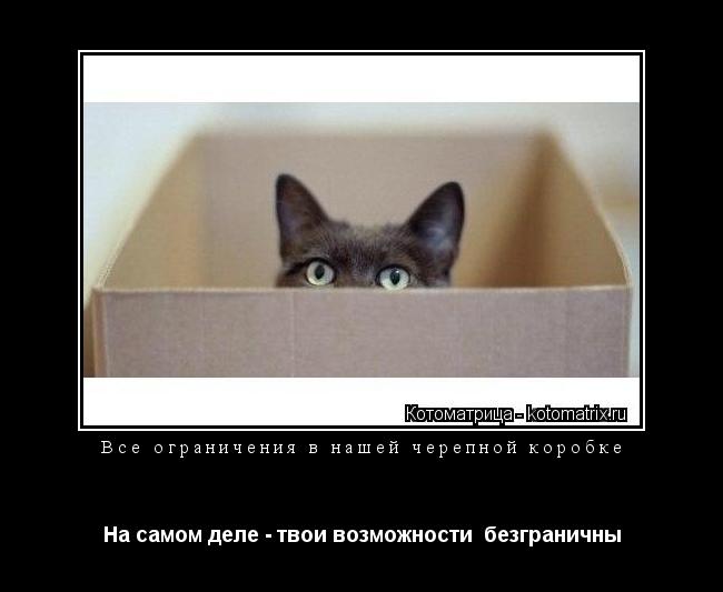 Все ограничения в нашей черепной коробке На самом деле - твои возможности безграничны... Котоматрица: Все ограничения в нашей черепной коробке На самом деле - твои возможности безграничны