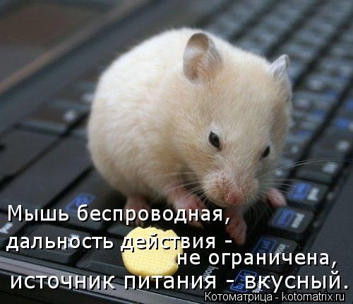источник питания - вкусный. не ограничена, дальность действия - Мышь беспроводная,... Котоматрица: источник питания - вкусный. не ограничена, дальность действия - Мышь беспроводная,