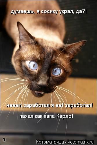 думаешь, я сосику украл, да?! нееет..заработал я ее! заработал! пахал как папа Карло!... Котоматрица: думаешь, я сосику украл, да?! нееет..заработал я ее! заработал! пахал как папа Карло!