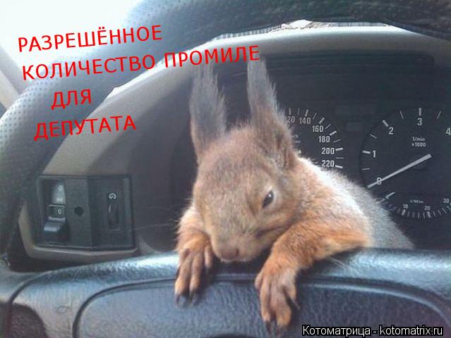 КОЛИЧЕСТВО ПРОМИЛЕ ДЛЯ ДЕПУТАТА РАЗРЕШЁННОЕ... Котоматрица: КОЛИЧЕСТВО ПРОМИЛЕ ДЛЯ ДЕПУТАТА РАЗРЕШЁННОЕ