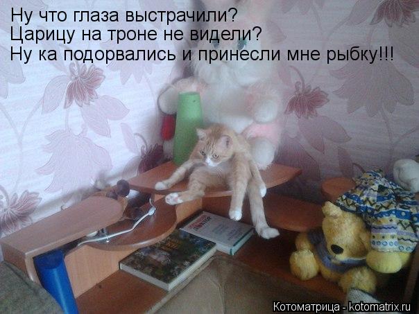 Ну что глаза выстрачили? Царицу на троне не видели? Ну ка подорвались и принесли мне рыбку!!!... Котоматрица: Ну что глаза выстрачили? Царицу на троне не видели? Ну ка подорвались и принесли мне рыбку!!!