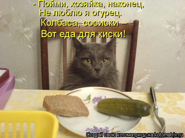 - Пойми, хозяйка, наконец, Не люблю я огурец. Колбаса, сосиски – Вот еда для киски!... Котоматрица: - Пойми, хозяйка, наконец, Не люблю я огурец. Колбаса, сосиски – Вот еда для киски!