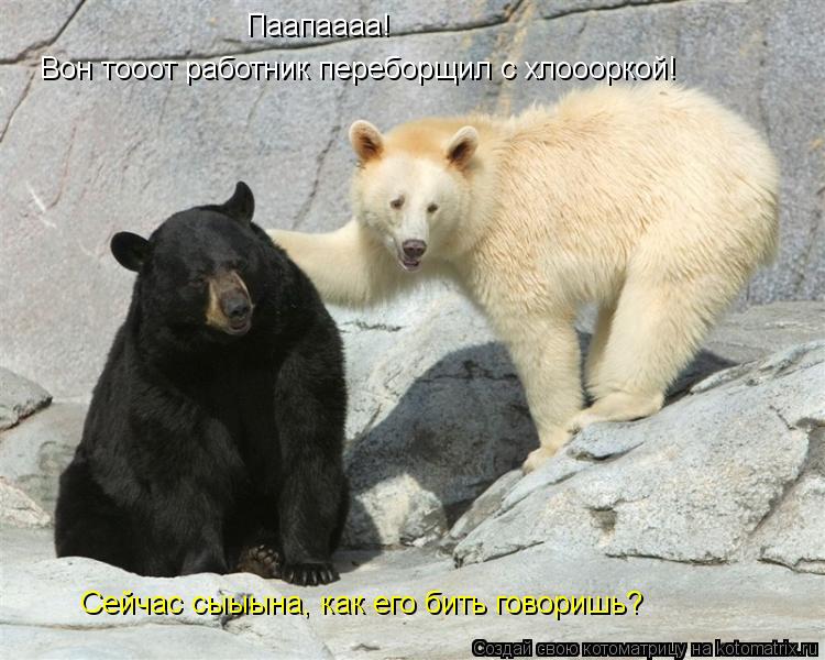 Паапаааа! Вон тооот работник переборщил с хлоооркой! Сейчас сыыына, как его бить говоришь?... Котоматрица: Паапаааа! Вон тооот работник переборщил с хлоооркой! Сейчас сыыына, как его бить говоришь?