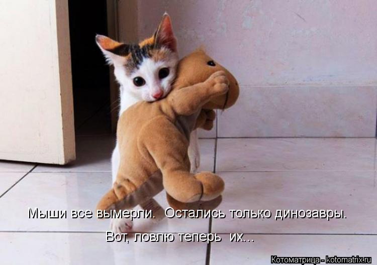 Мыши все вымерли. Остались только динозавры. Вот, ловлю теперь их...... Котоматрица: Мыши все вымерли. Остались только динозавры. Вот, ловлю теперь их...