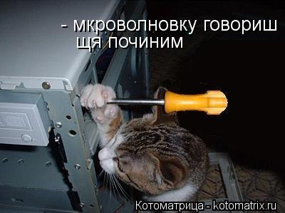 - мкроволновку говориш щя починим щя починим... Котоматрица: - мкроволновку говориш щя починим щя починим