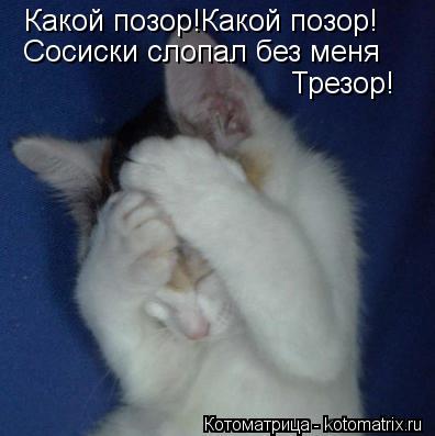 Какой позор!Какой позор! Сосиски слопал без меня Трезор!... Котоматрица: Какой позор!Какой позор! Сосиски слопал без меня Трезор!