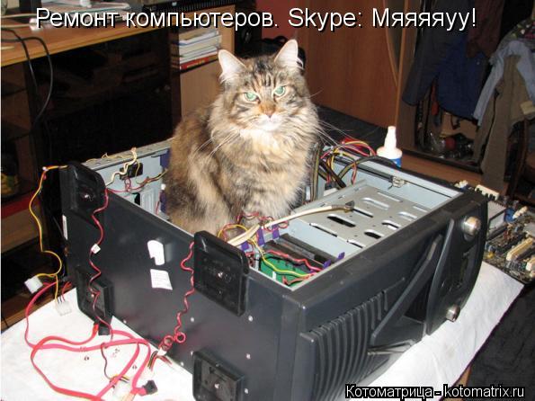Ремонт компьютеров. Skype: Mяяяяуу!... Котоматрица: Ремонт компьютеров. Skype: Mяяяяуу!