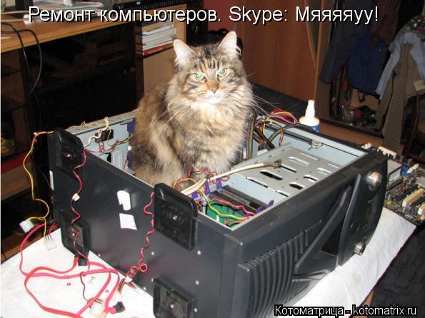 Котоматрица: Ремонт компьютеров. Skype: Mяяяяуу!