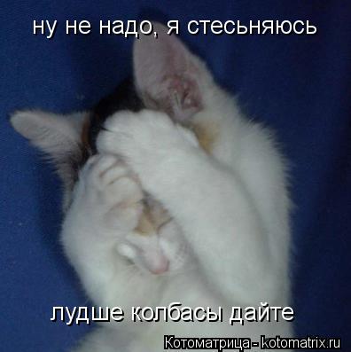 ну не надо, я стесьняюсь лудше колбасы дайте... Котоматрица: ну не надо, я стесьняюсь лудше колбасы дайте