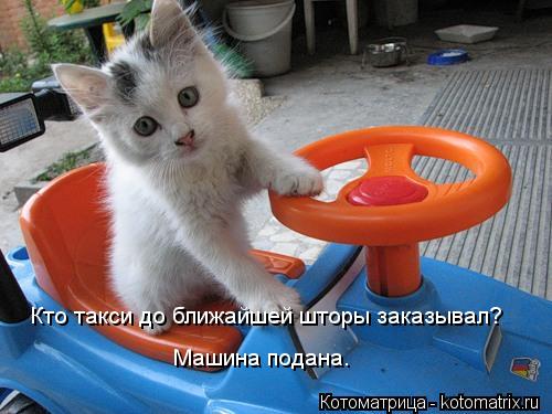 Кто такси до ближайшей шторы заказывал? Машина подана.... Котоматрица: Кто такси до ближайшей шторы заказывал? Машина подана.