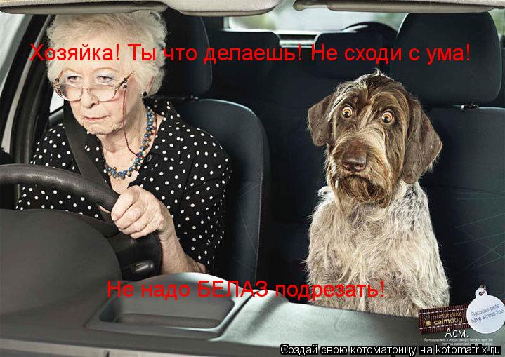 Хозяйка! Ты что делаешь! Не сходи с ума! Не надо БЕЛАЗ подрезать! Асм.... Котоматрица: Хозяйка! Ты что делаешь! Не сходи с ума! Не надо БЕЛАЗ подрезать! Асм.