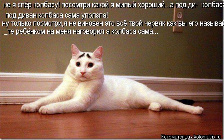не я спёр колбасу! посомтри какой я милый хороший...а под ди- колбаса сама уползла под диван колбаса... Котоматрица: не я спёр колбасу! посомтри какой я милый хороший...а под ди- колбаса сама уползла под диван колбаса сама уползла! ну только посмотри,я не вин