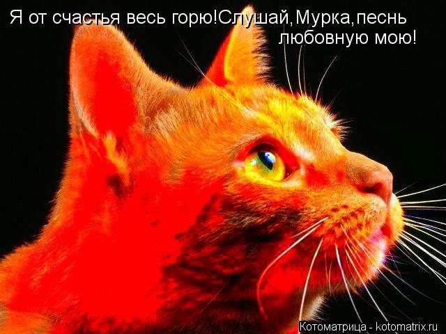 Я от счастья весь горю!Слушай,Мурка,песнь любовную мою!... Котоматрица: Я от счастья весь горю!Слушай,Мурка,песнь любовную мою!