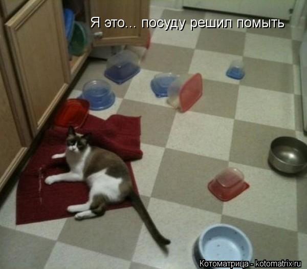 Я это... посуду решил помыть... Котоматрица: Я это... посуду решил помыть