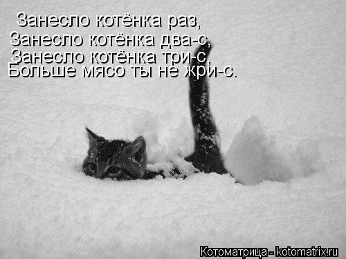 Занесло котёнка раз, Занесло котёнка два-с, Занесло котёнка три-с, Больше мясо ты не жри-с.... Котоматрица: Занесло котёнка раз, Занесло котёнка два-с, Занесло котёнка три-с, Больше мясо ты не жри-с.