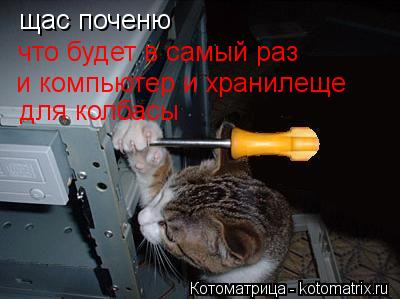 щас поченю что будет в самый раз и компьютер и хранилеще для колбасы... Котоматрица: щас поченю что будет в самый раз и компьютер и хранилеще для колбасы