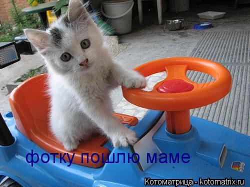 фотку пошлю маме... Котоматрица: фотку пошлю маме