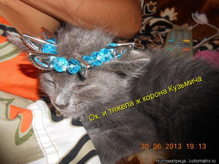 Ох, и тяжела ж корона Кузьмича... Котоматрица: Ох, и тяжела ж корона Кузьмича