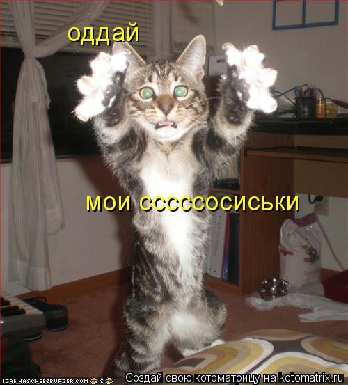оддай мои сссссосиськи... Котоматрица: оддай мои сссссосиськи